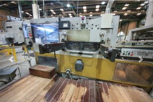Automatic die cutter